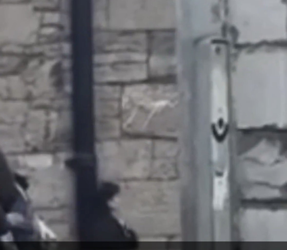 jeanjenna tweet media