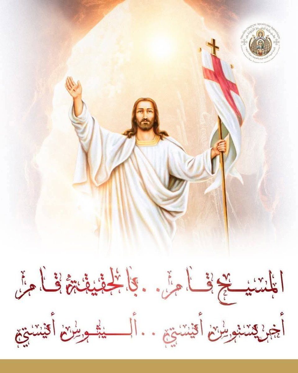 مصرى وافتخر tweet media