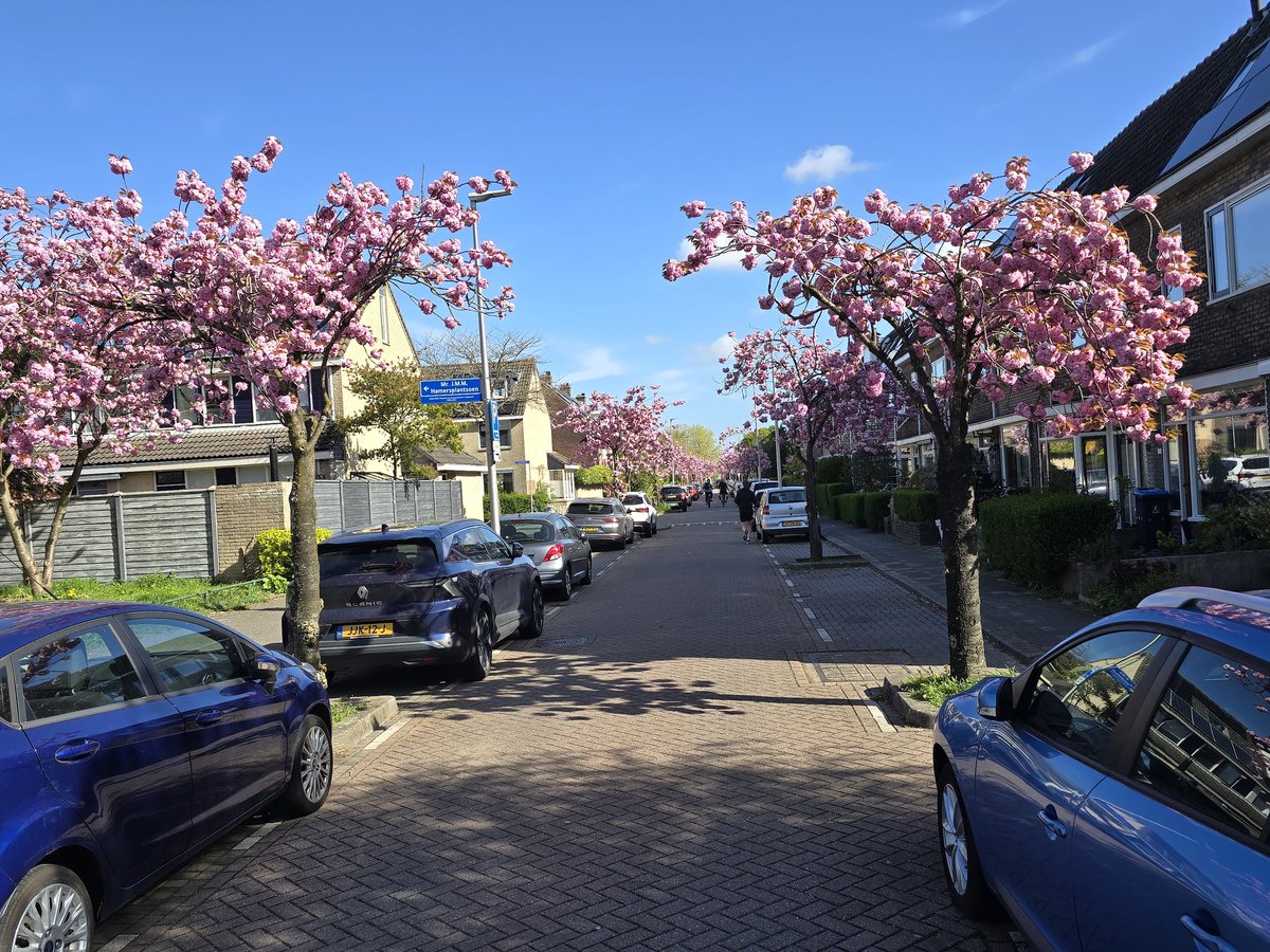 Verlengde Hoogravenseweg #Hoograven op z'n mooist!