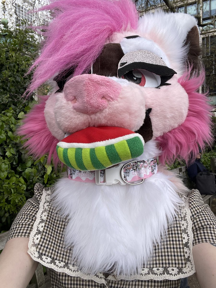 Lolllll i forgot twitter existed