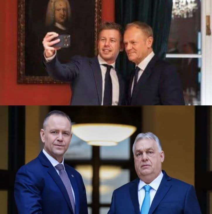 Barbaria___#InTuskWeTrust tweet media