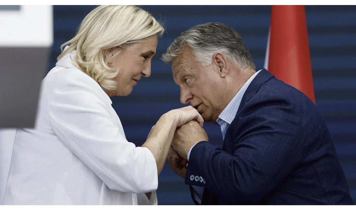 sophia aram tweet media