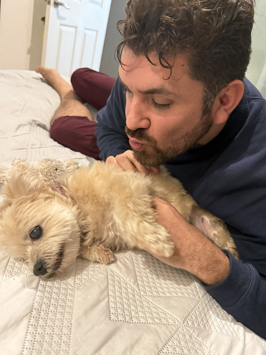 MichRubalcava's tweet image. Mi peludita hermosa 🥰🥰🥰🥰 
❤️Mi Ghia❤️ Te amo mi nena #dogsofinstagram #dog #doglovers