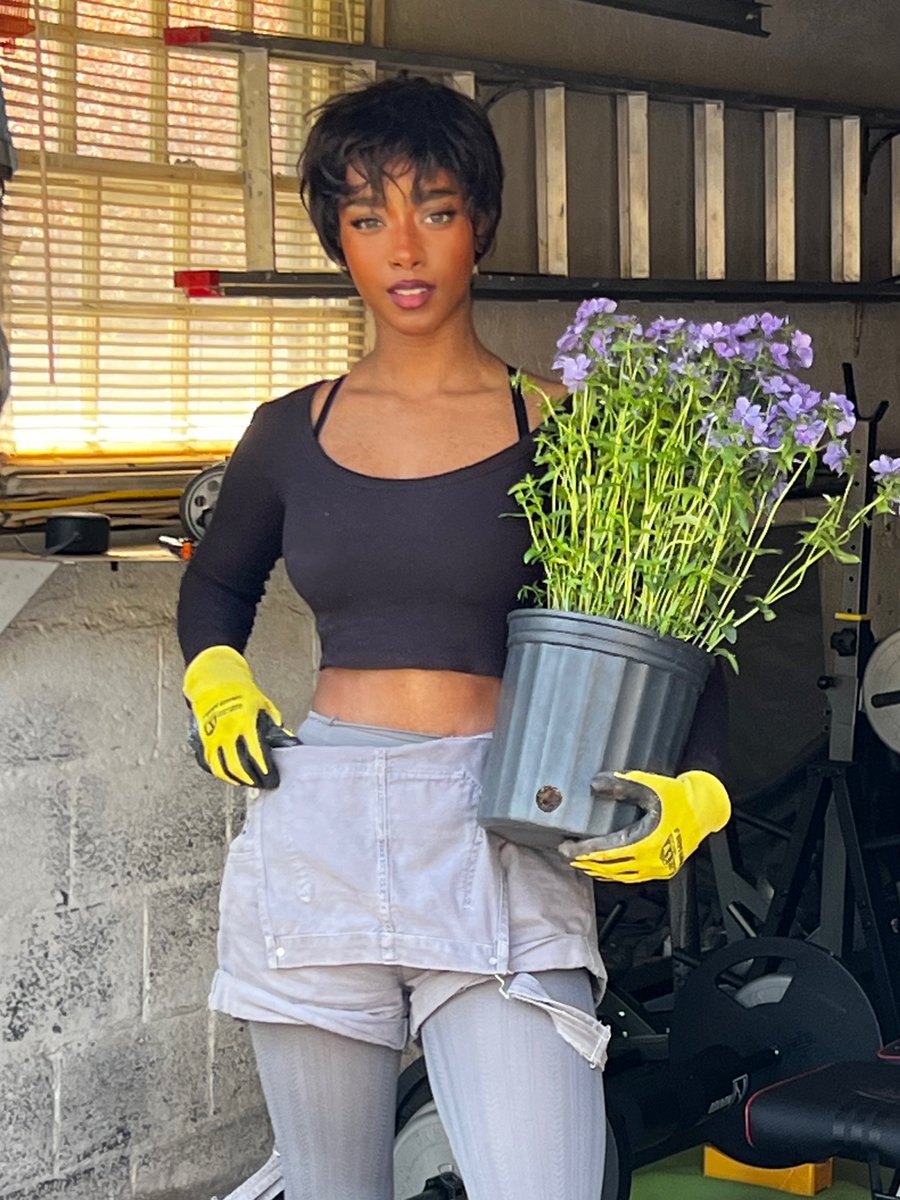 aliya will tweet media