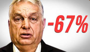 Hammond_Y_Queso's tweet image. 