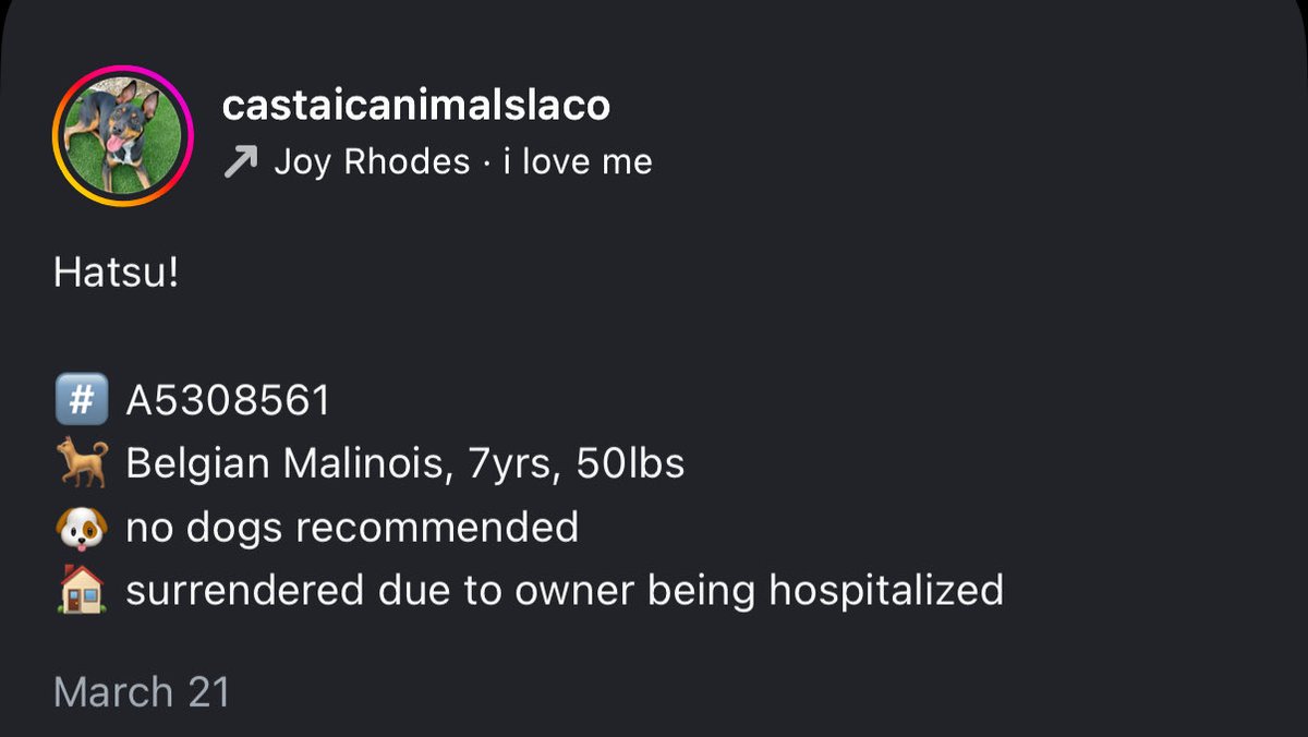 WhiskeyTangoFoxtrot 🖤 tweet media