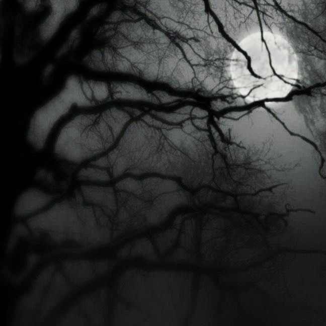 darkdreamvibe's tweet photo. https://t.co/X2lLtJqi31