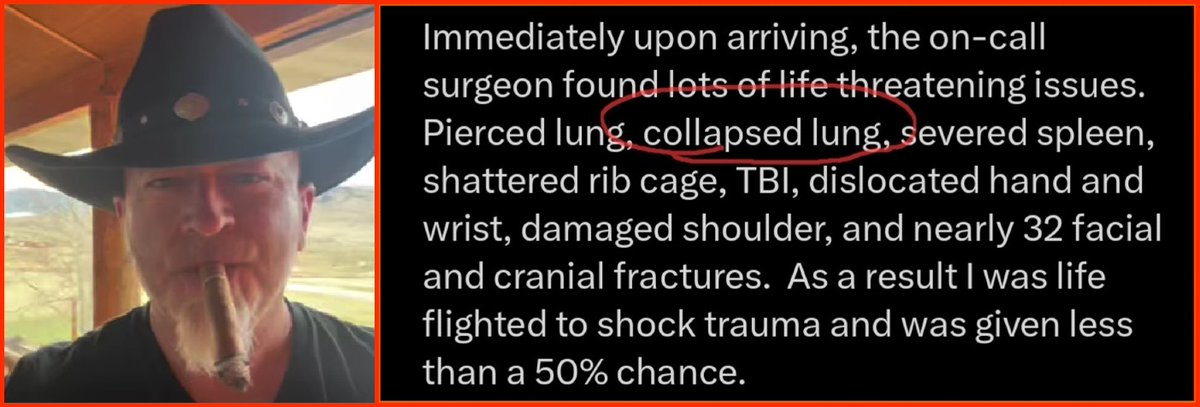 Para Nørmal tweet media