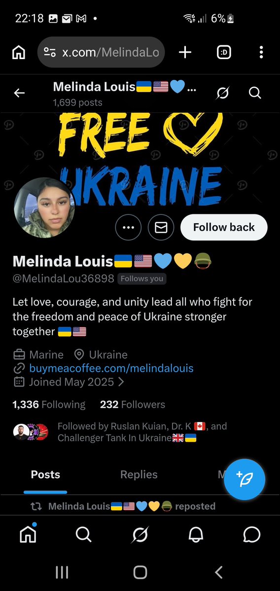 Europäischer Hamburger tweet media