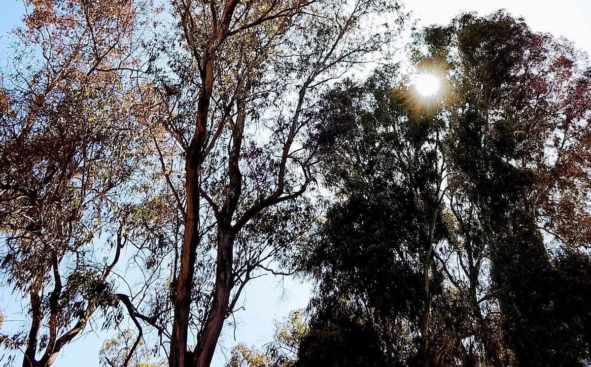 hanny🪾 tweet media