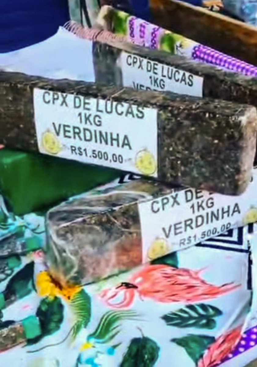 WORLD WAR RIO 🇧🇷🔥 tweet media