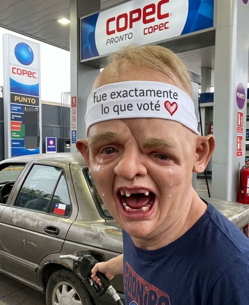 Vulgarcito tweet media