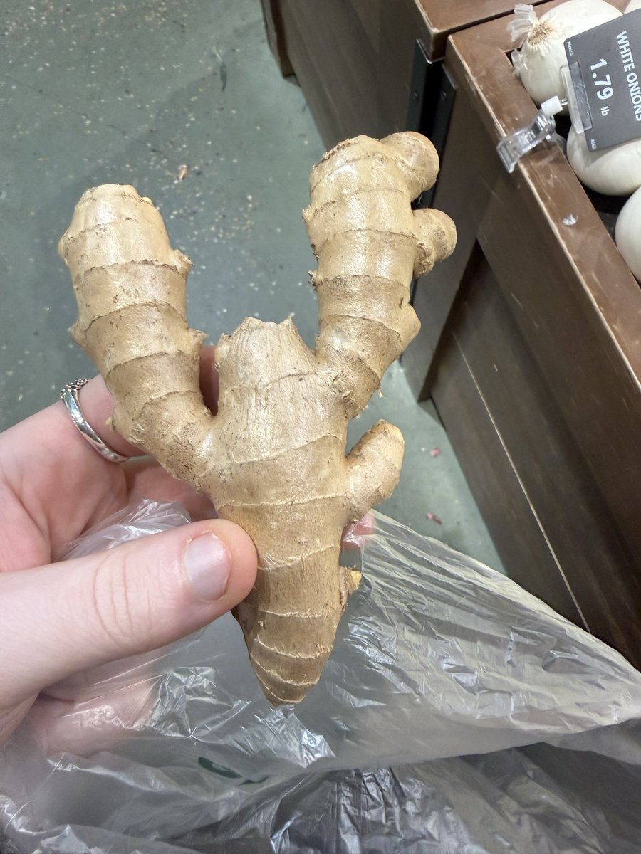 ₦ Ɨ ₭ ₭ Ɨ tweet media