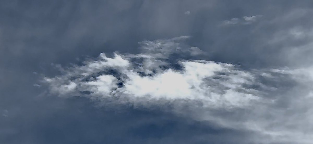 noobdad75 tweet media