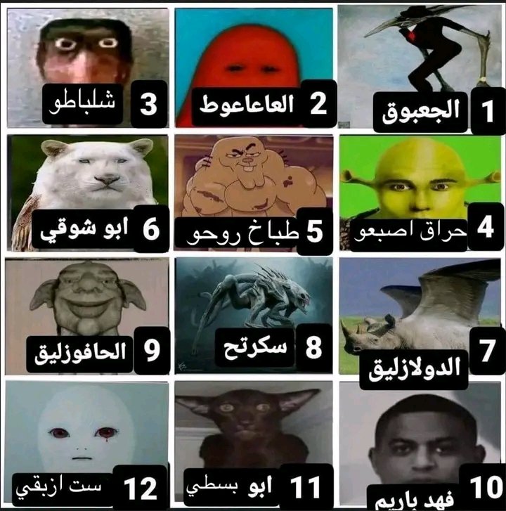 جمعية 🐬 tweet media