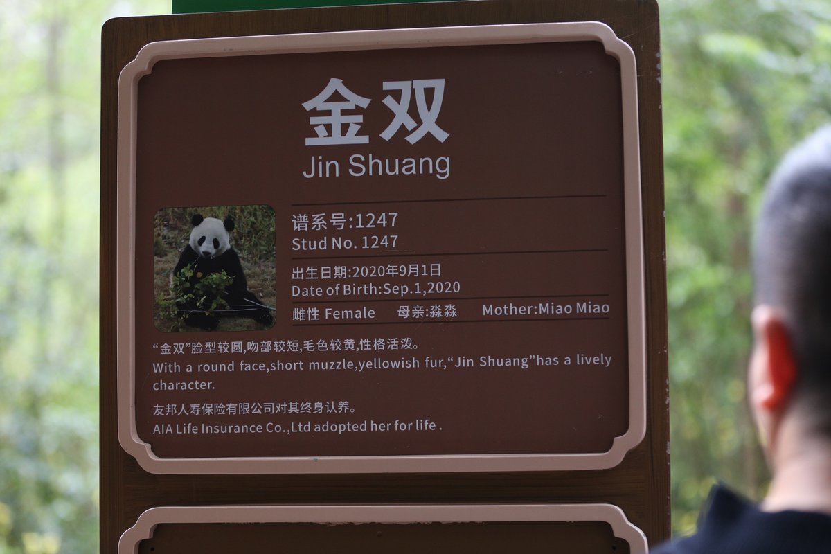 月亭ペン太 tweet media