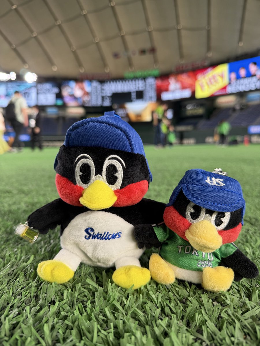 rascalpon's tweet photo. 昨日は東京ドーム観戦😆
試合後に初めてグラウンド体験に参加💚
芝がふかふかでしたー✨
#swallows  #つば九郎 https://t.co/gR1CDZZNKL