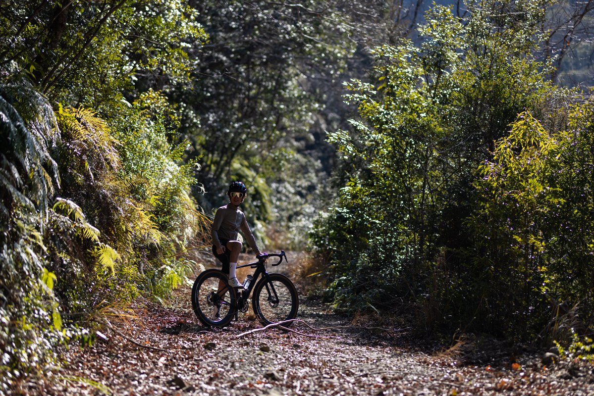 パナレーサー株式会社 tweet media