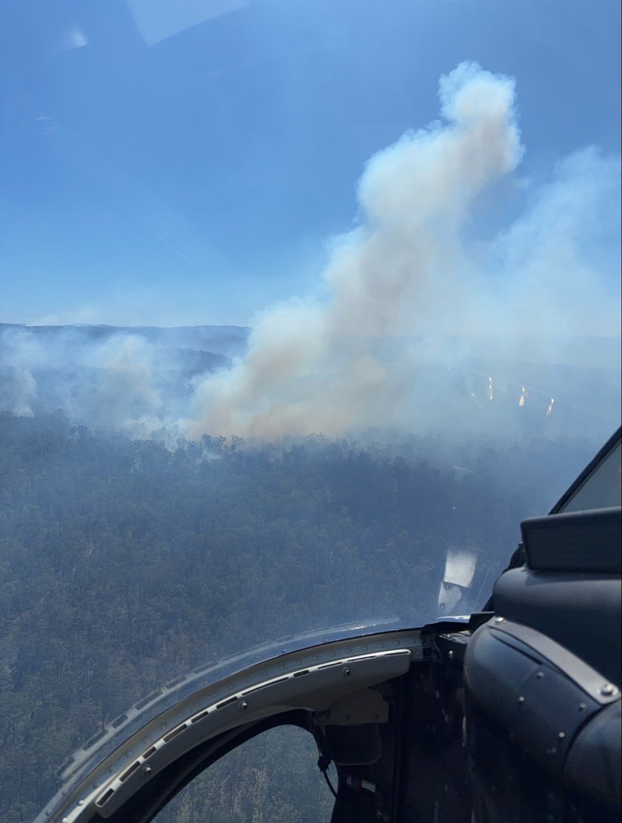 NSW RFS tweet media