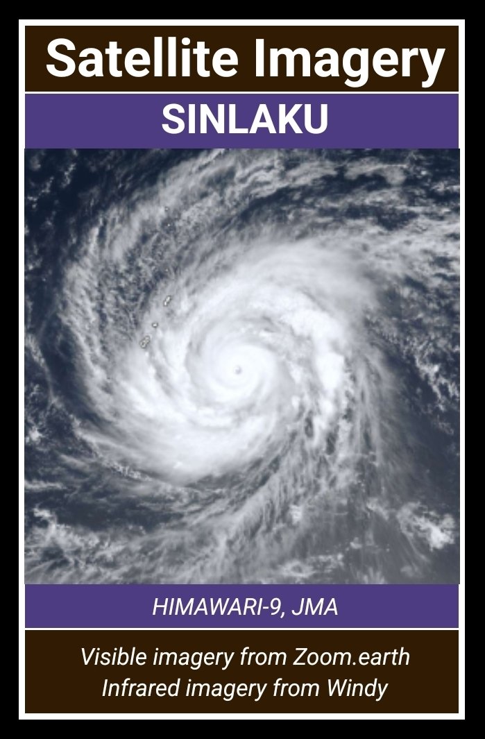 Angelic Panda Meteorology tweet media