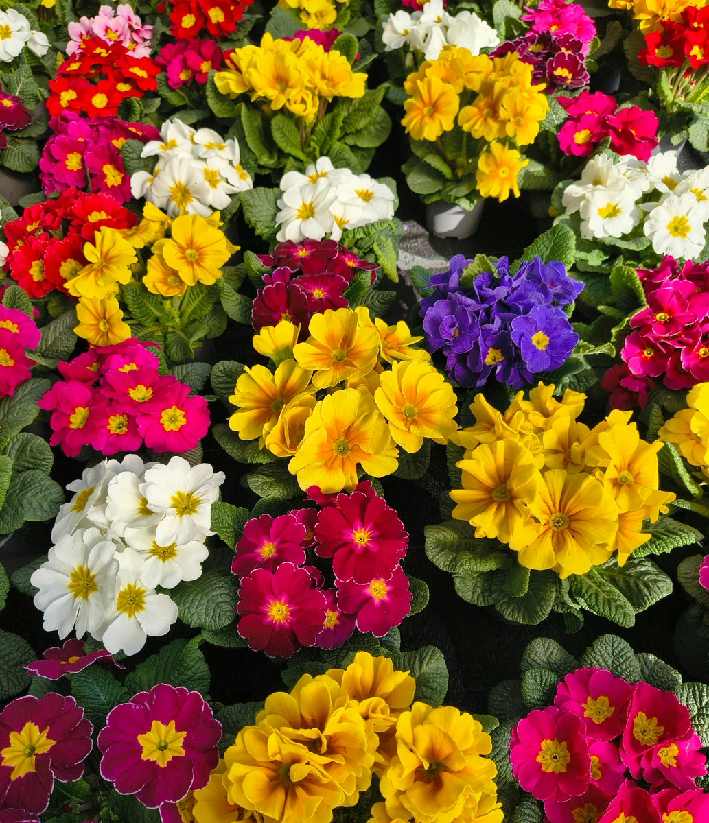 Alice_Vogue_2nd's tweet image. #HEALING #CALM #RELAX