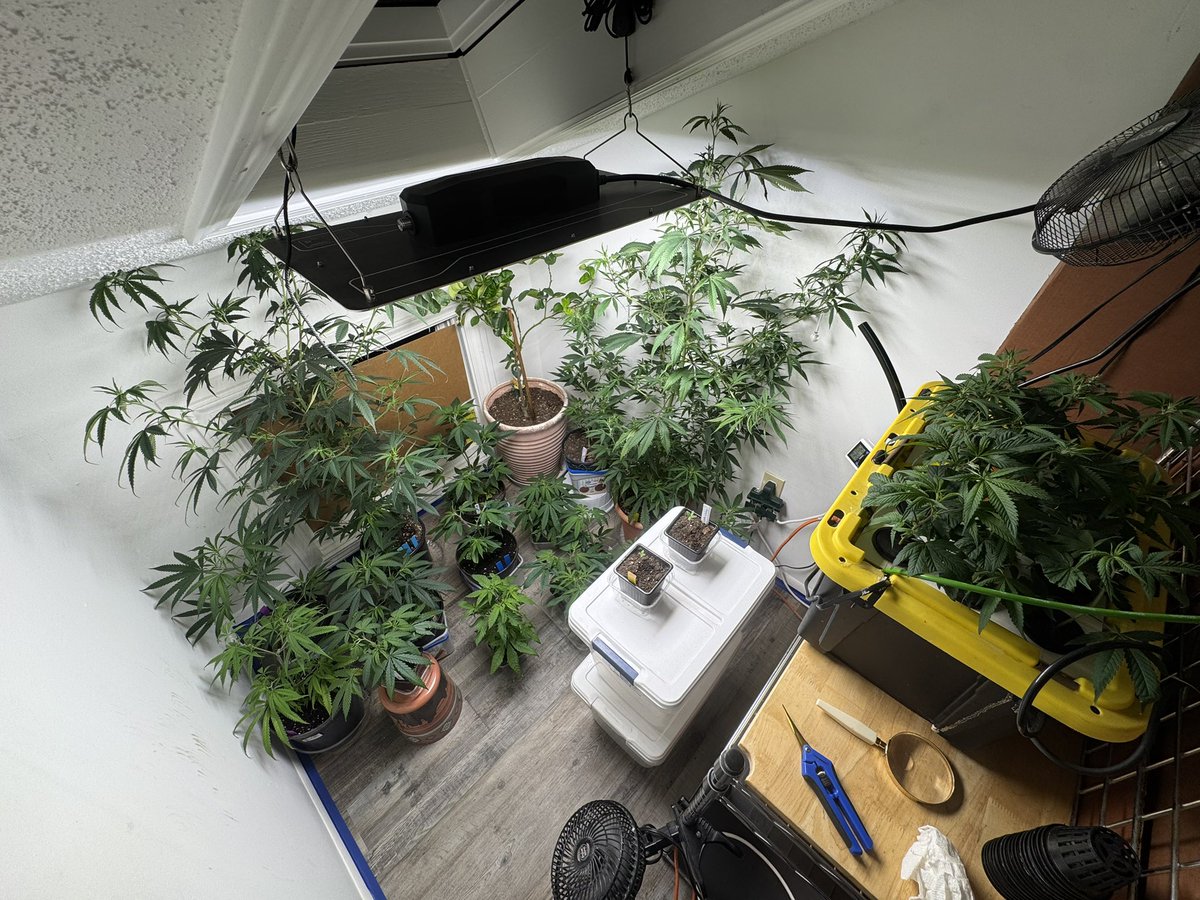 Kate Frost tweet media