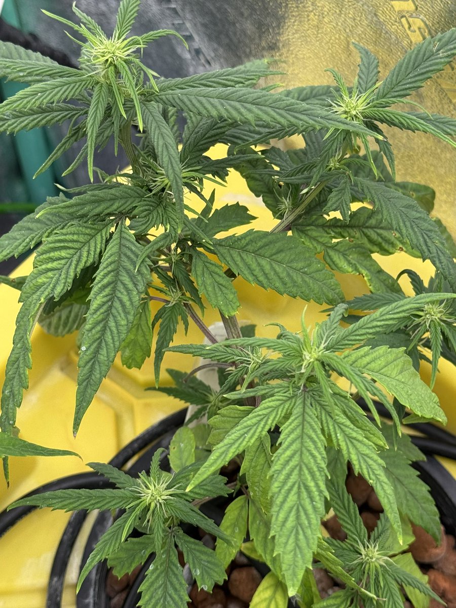 Kate Frost tweet media