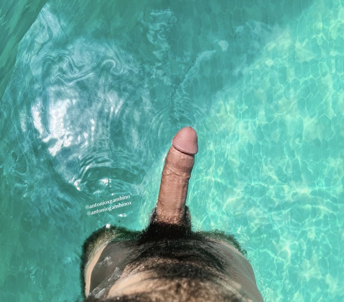 Antonio Gambino (Bush King 🤴) tweet media