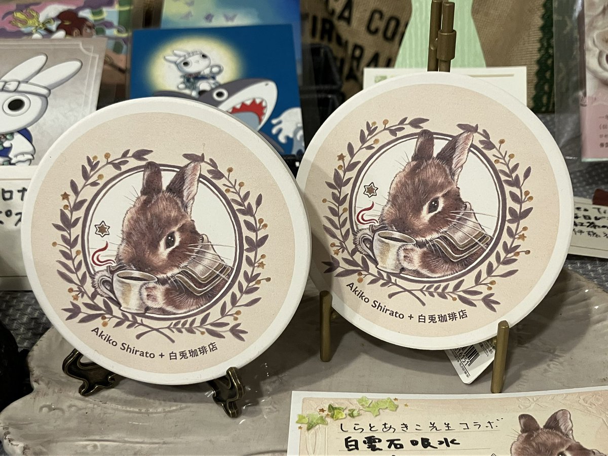 しらとあきこ⭐︎写真全部セット 【公式通販】