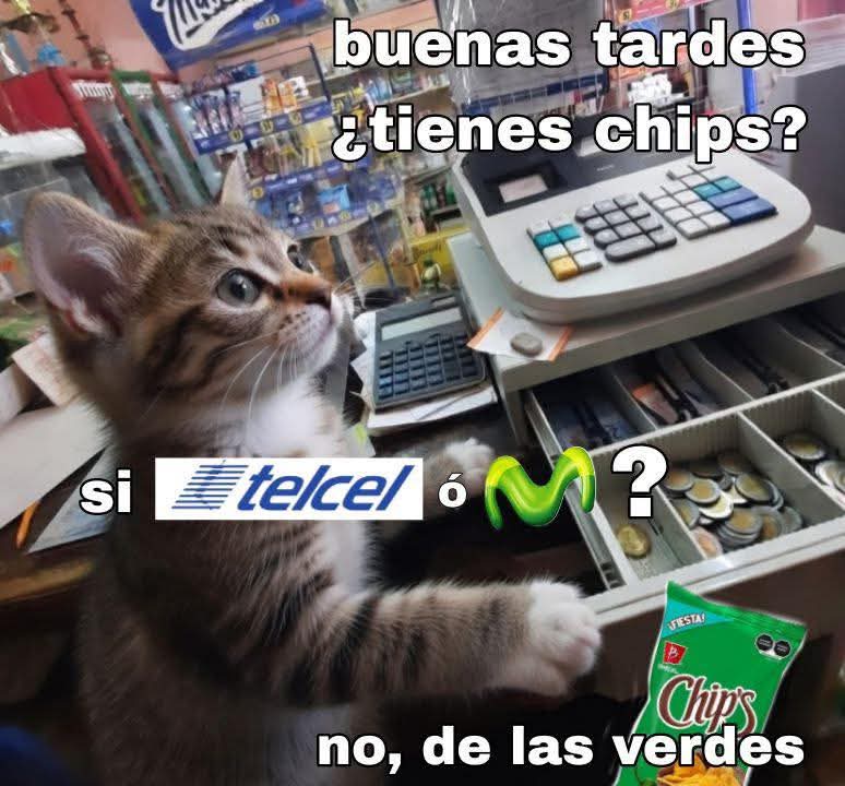 Maestre Mapaxito tweet media