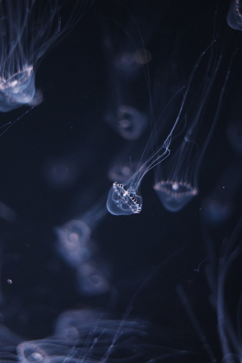 ushiropotun_223's tweet image. #photography
#CanonEOSR