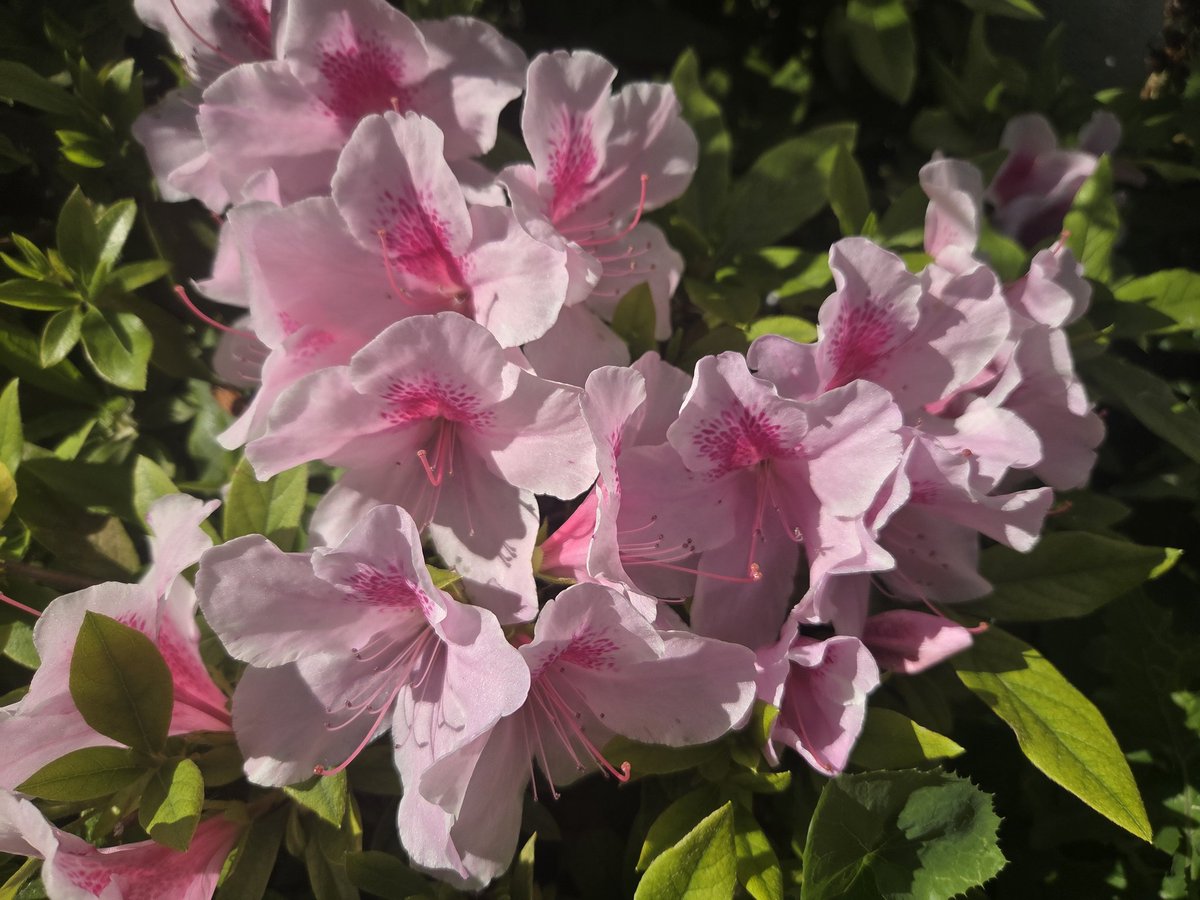 なぁちゃん tweet media