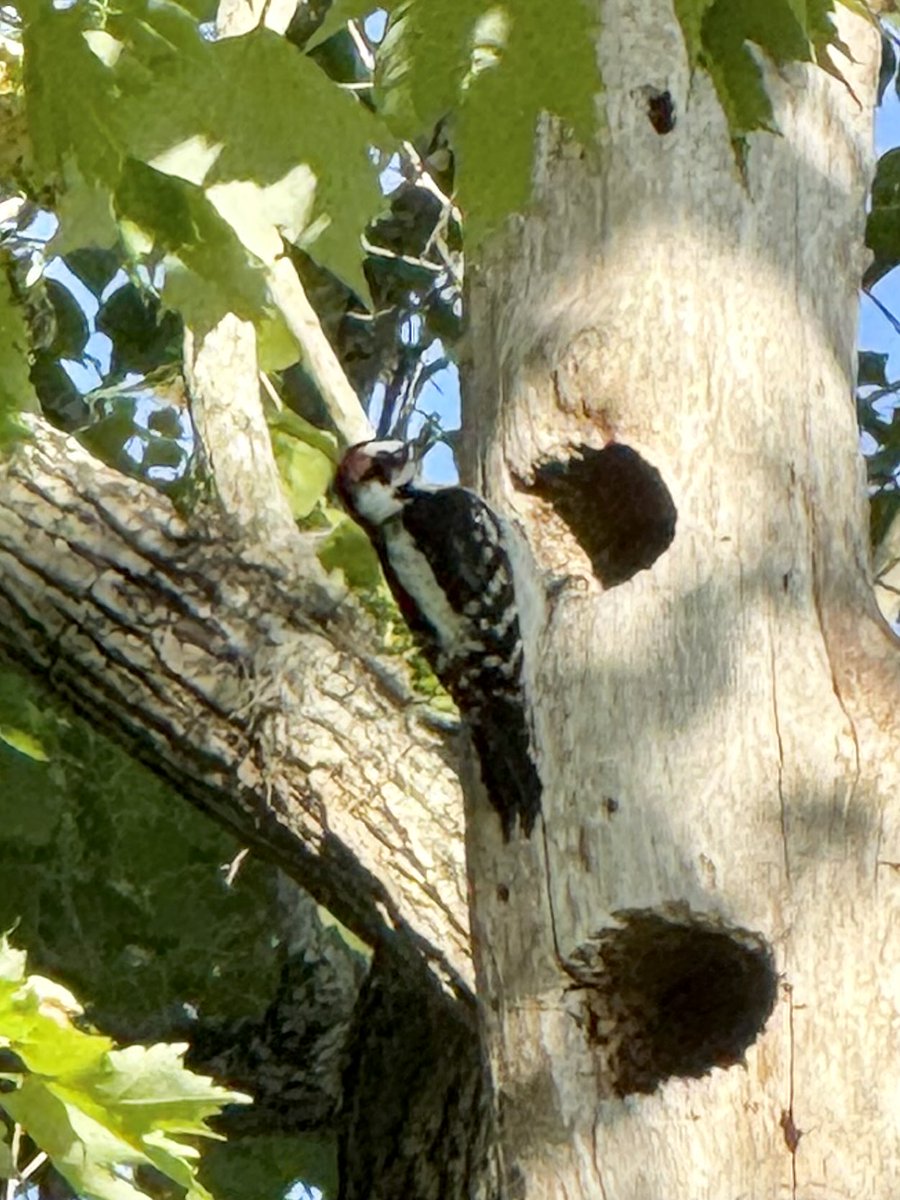 dolbyl's tweet image. Sunday vibes… #optoutside #getoutside #nature #naturephotography #lovefl