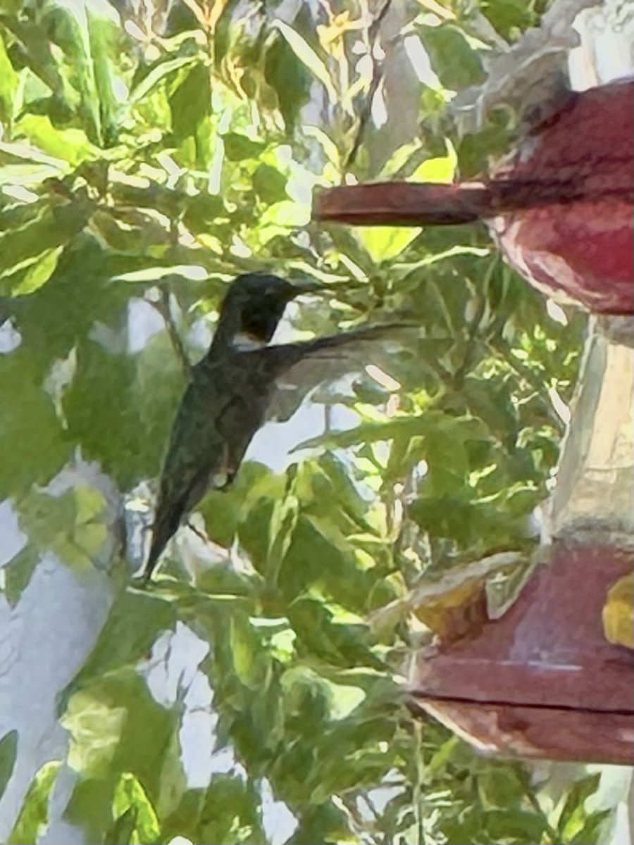 dolbyl's tweet image. Sunday vibes… #optoutside #getoutside #nature #naturephotography #lovefl