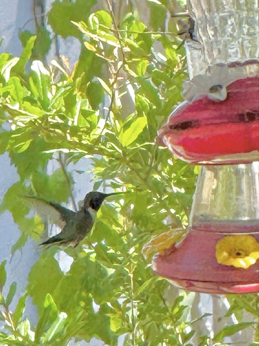 dolbyl's tweet image. Sunday vibes… #optoutside #getoutside #nature #naturephotography #lovefl