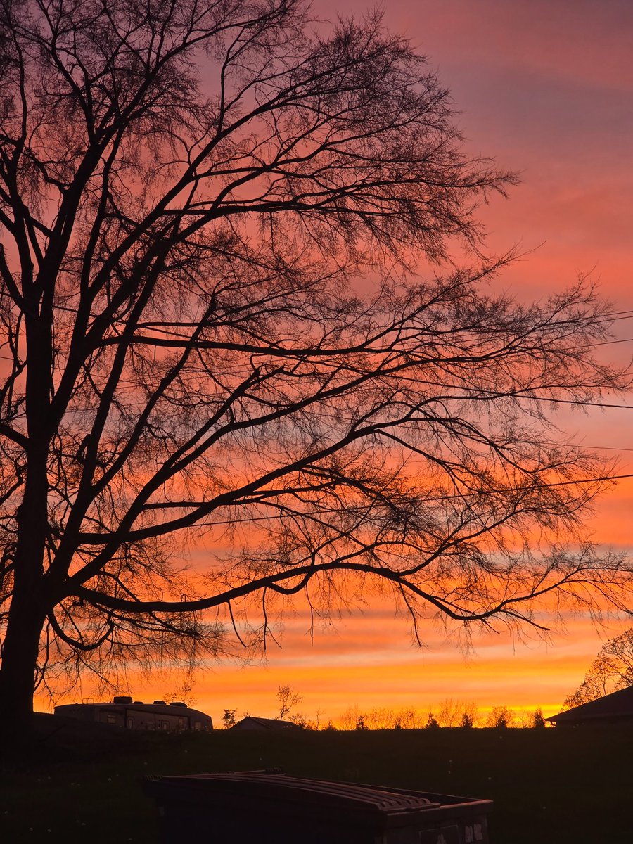 Xtal321's tweet photo. Beautiful 🌇 ❤️ https://t.co/feojnXn2nz