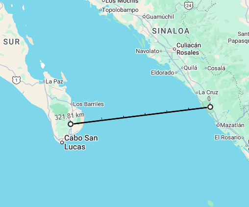 Don Patito🦢 tweet media