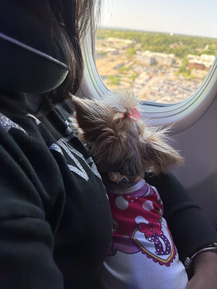 Katrina B tweet media