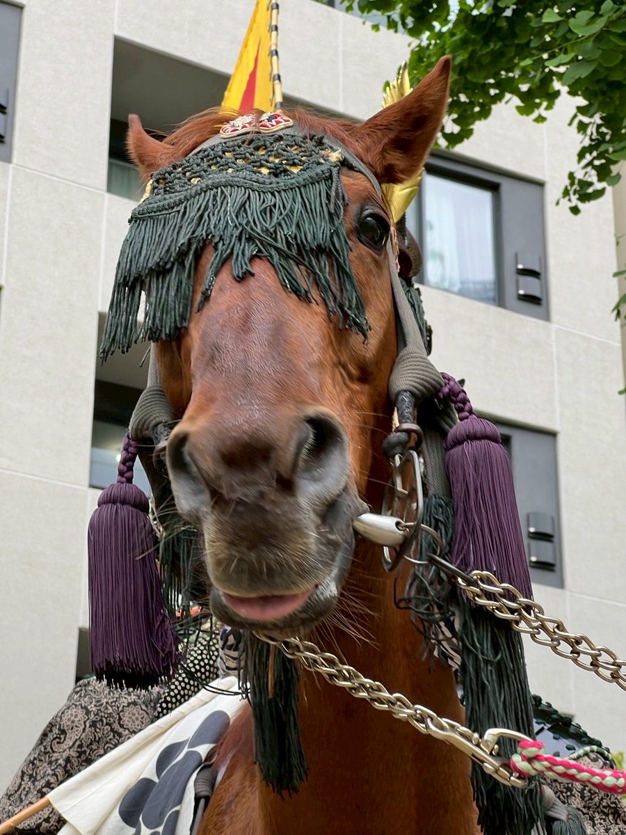 相馬野馬追執行委員会【公式】🐴 tweet media