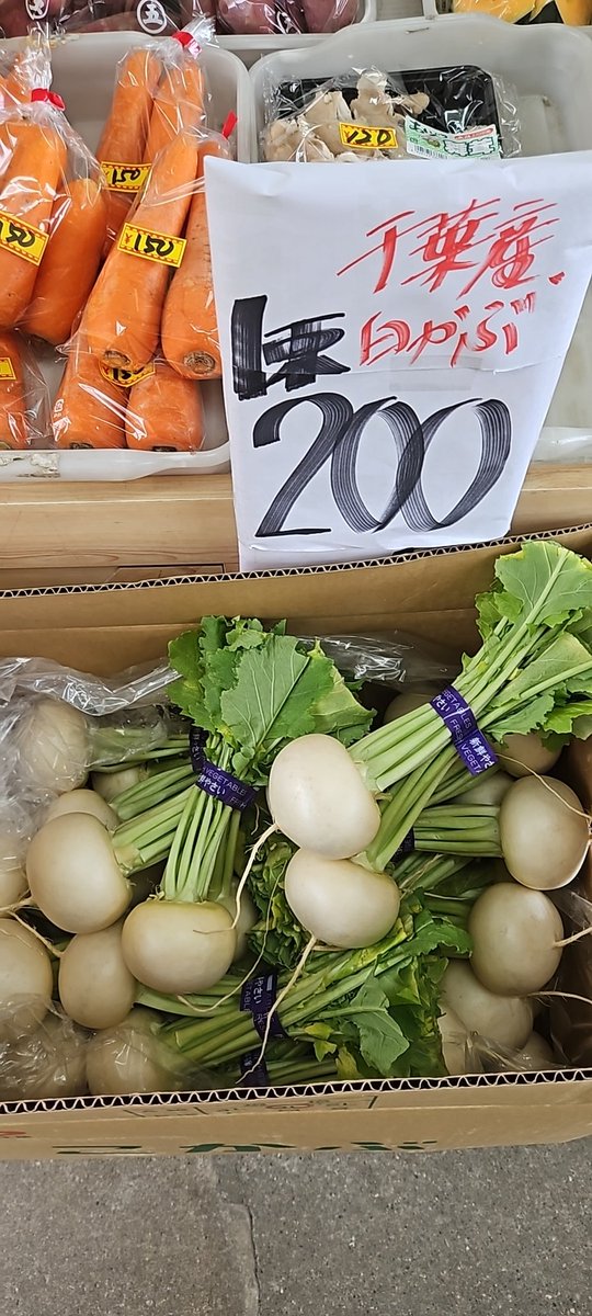 おはようございます😁 今日も朝方は寒かったですよ😅 今日は、 台湾