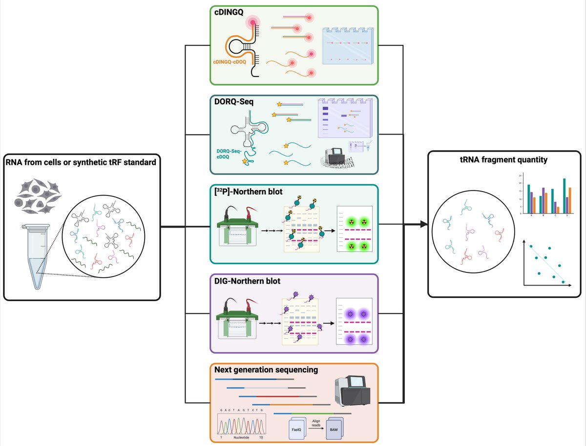 RNA tweet media