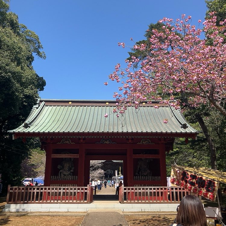 ふつうのぶー tweet media