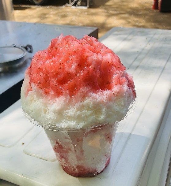 ふつうのぶー tweet media