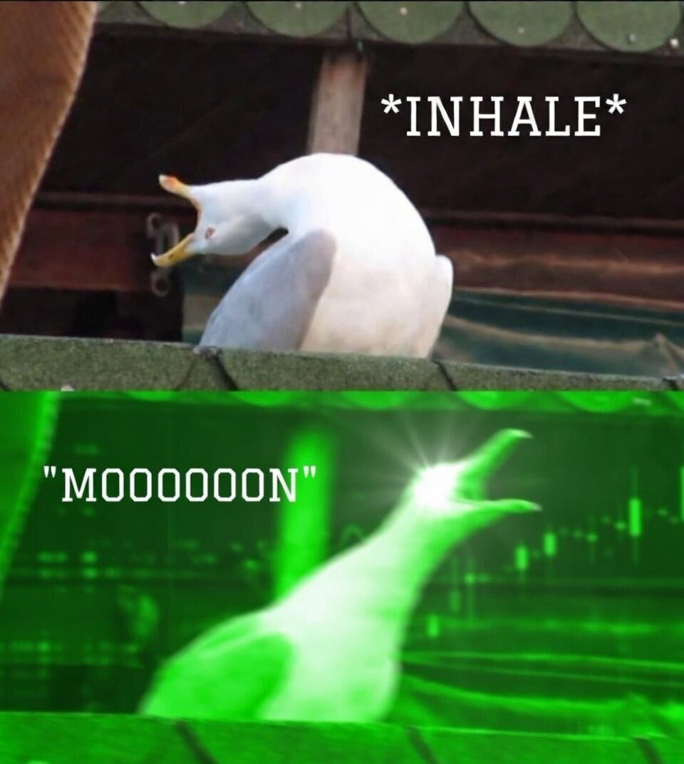 𝘔𝘢𝘹𝘸𝘦𝘭𝘭✶💨 tweet media