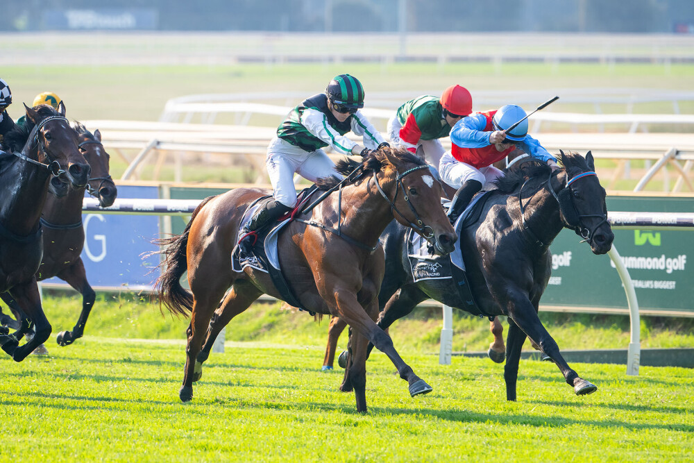 Williams Racing WA tweet media