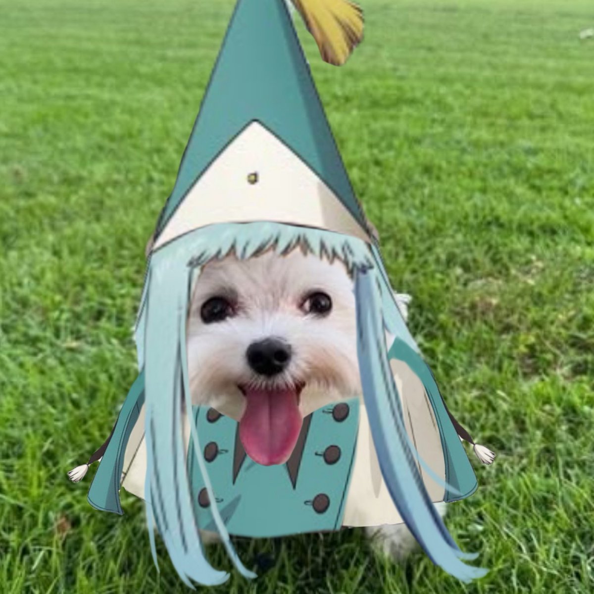 Daily Coco 🥑 #whaspoilers tweet media