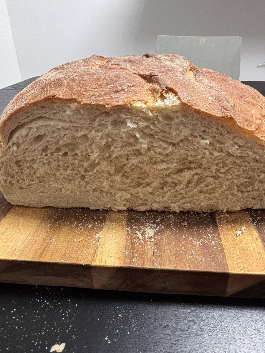 🦋🐧 tweet media