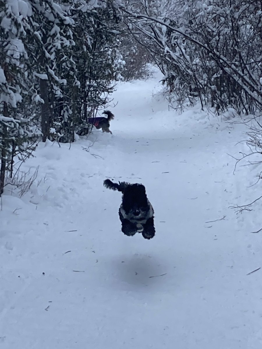 Catcher On The Rye tweet media