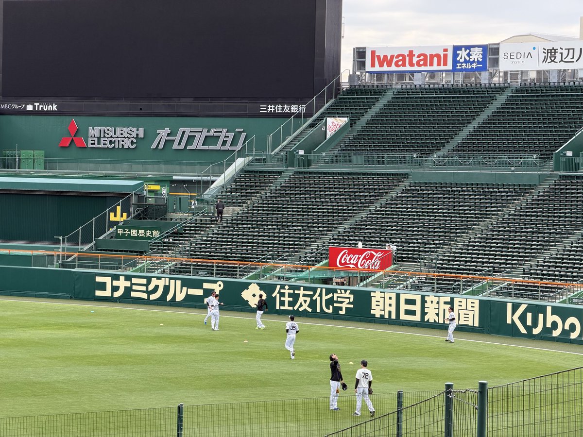 中野雄太【スポーツ報知・阪神担当】 tweet media