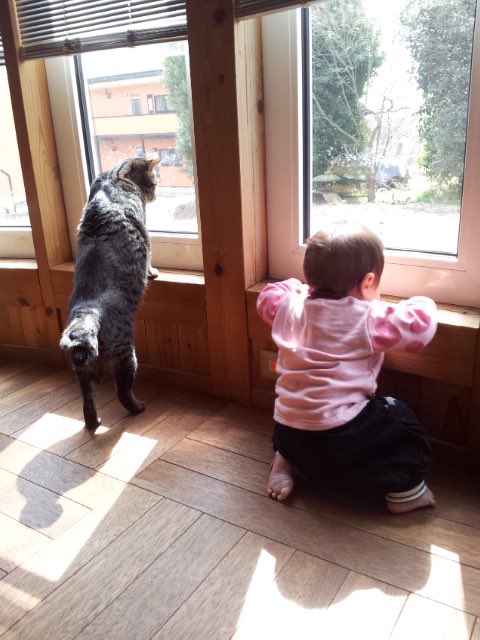 すあま tweet media